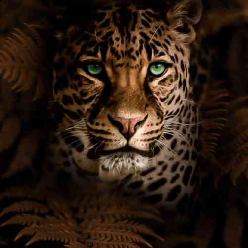 نیما مظفری آخ امشو هرچی درده جعمن له دلم